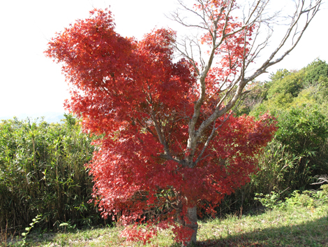 20131116hike (242)